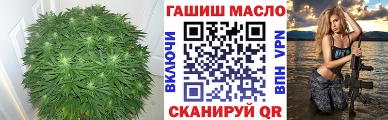 как найти закладки  Миньяр  ТГК гашишное масло 